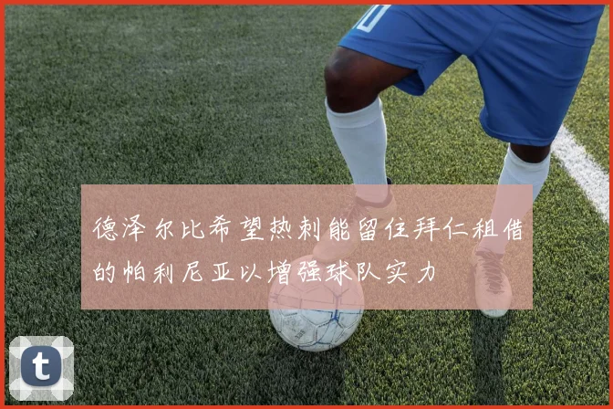 德泽尔比希望热刺能留住拜仁租借的帕利尼亚以增强球队实力